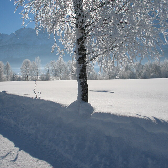 Zugspitze Arena, Lermoos