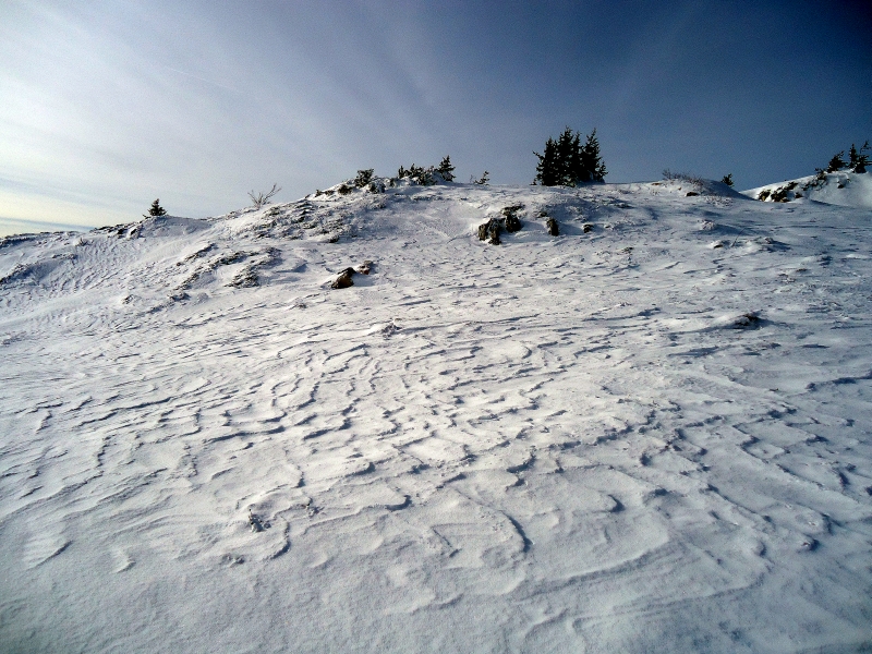 Vrh Jahorine (Ogorjelica), Jahorina