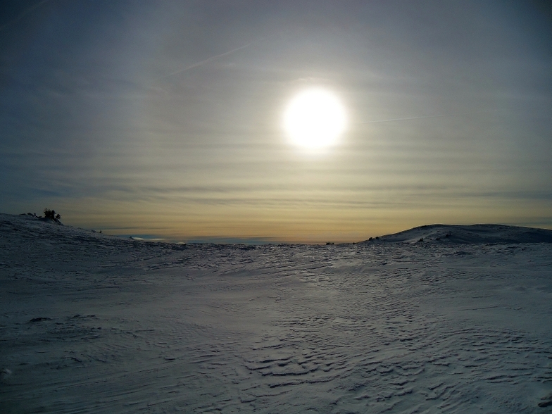 Gola Jahorina