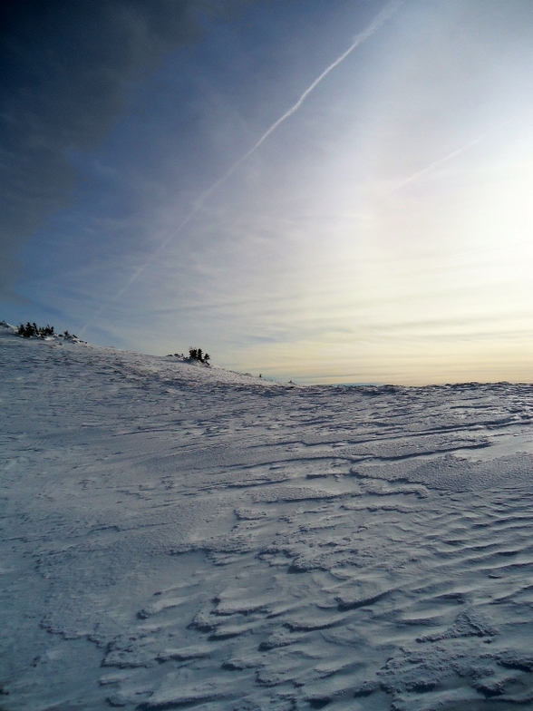Gola Jahorina