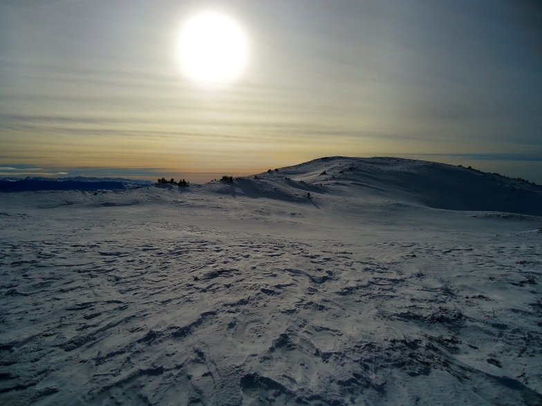Gola Jahorina