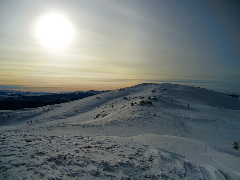 Gola Jahorina