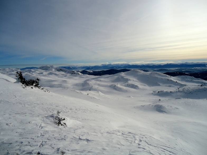 Gola Jahorina