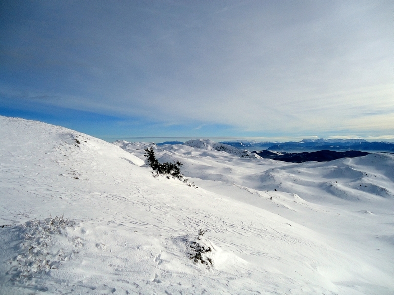 Gola Jahorina