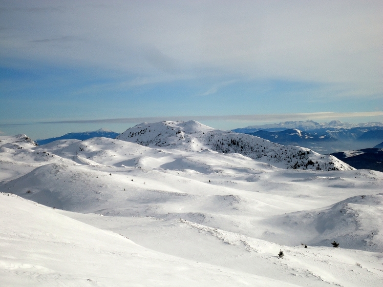 Gola Jahorina