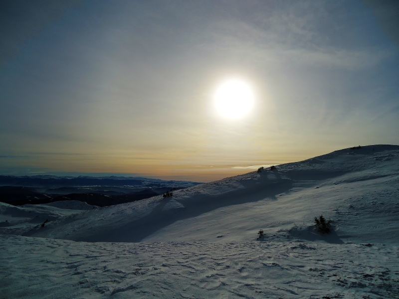 Gola Jahorina