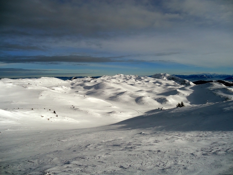 Gola Jahorina
