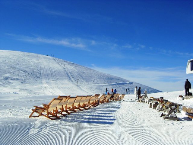 2013, Kozuf