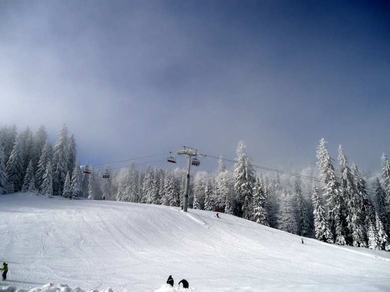 Ogorjelica I, Jahorina