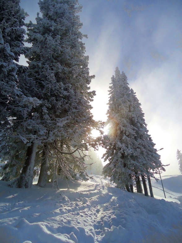Sun VS fog, Jahorina