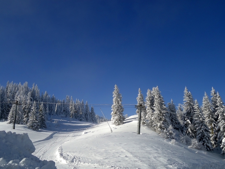 Jahorina