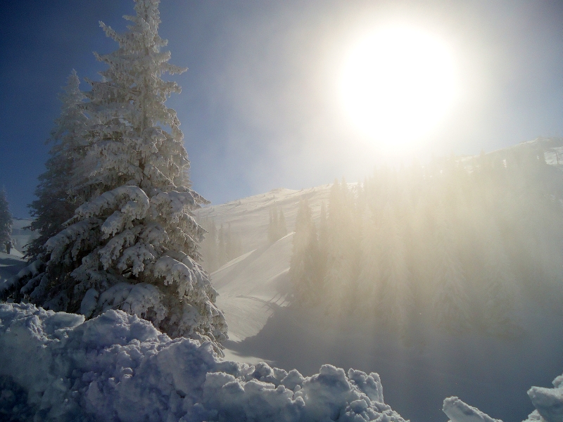 Sun VS fog, Jahorina