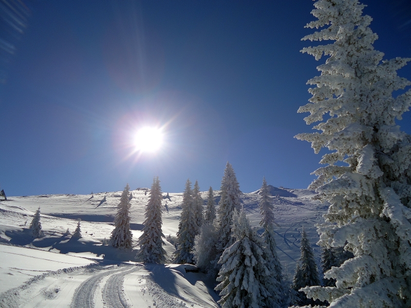 Visit Jahorina,welcome and enjoy !!!