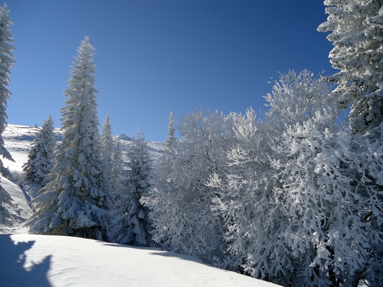 Jahorina winter