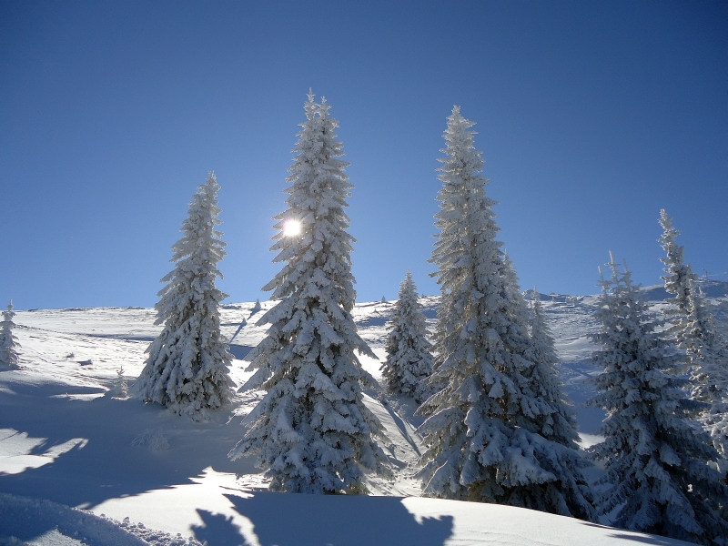 Jahorina winter