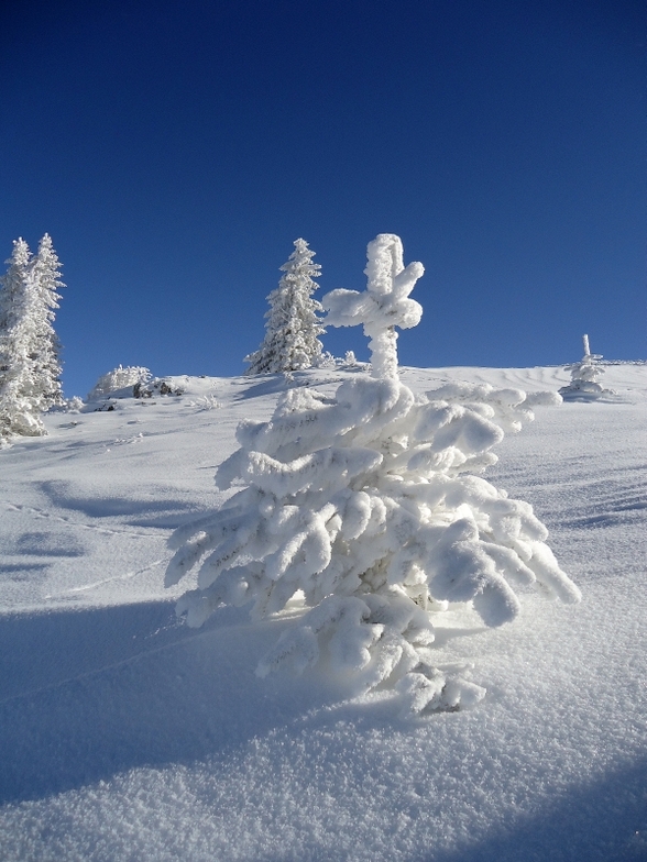 Jahorina winter