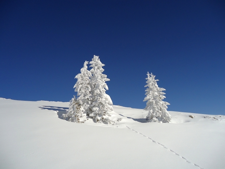 Snow art at Jahorina