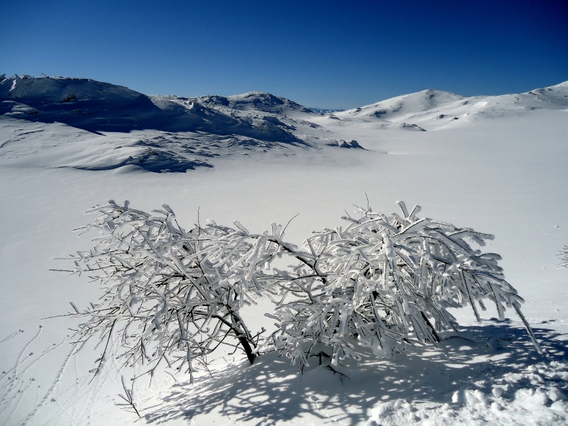 Snow art at Jahorina