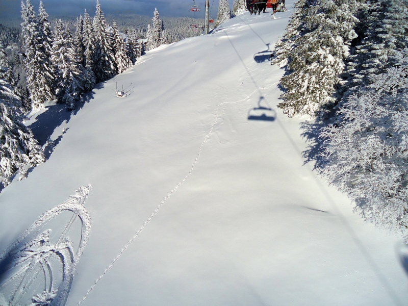 Freestyle, Jahorina