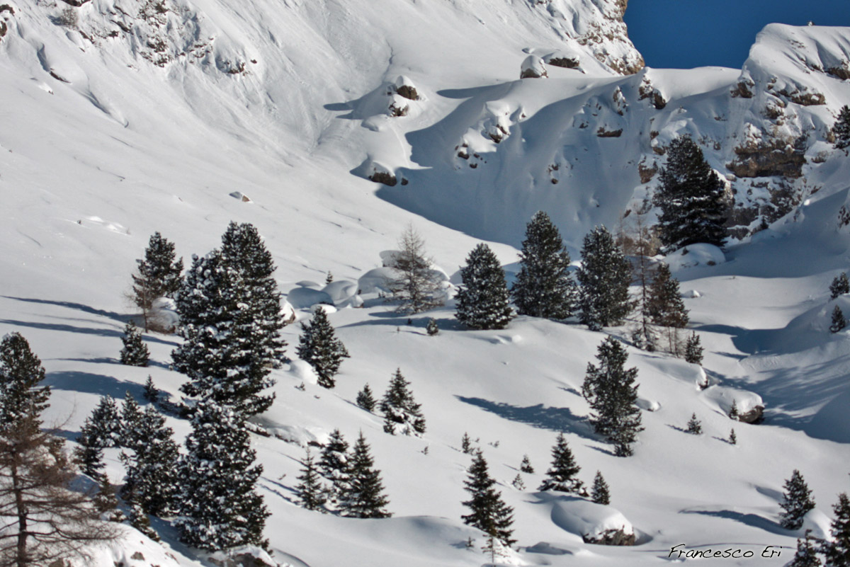 Freeriding, one powder day - Dolomiti.com.au - Italy, Canazei