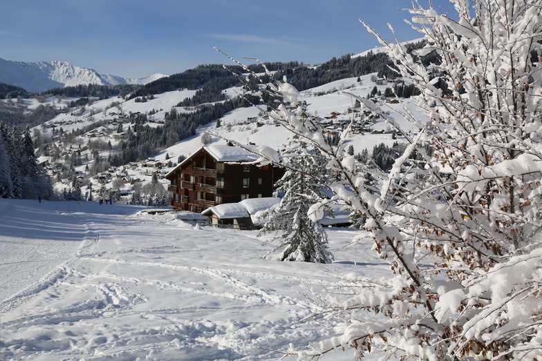 Chalet 4 Freres, Les Gets