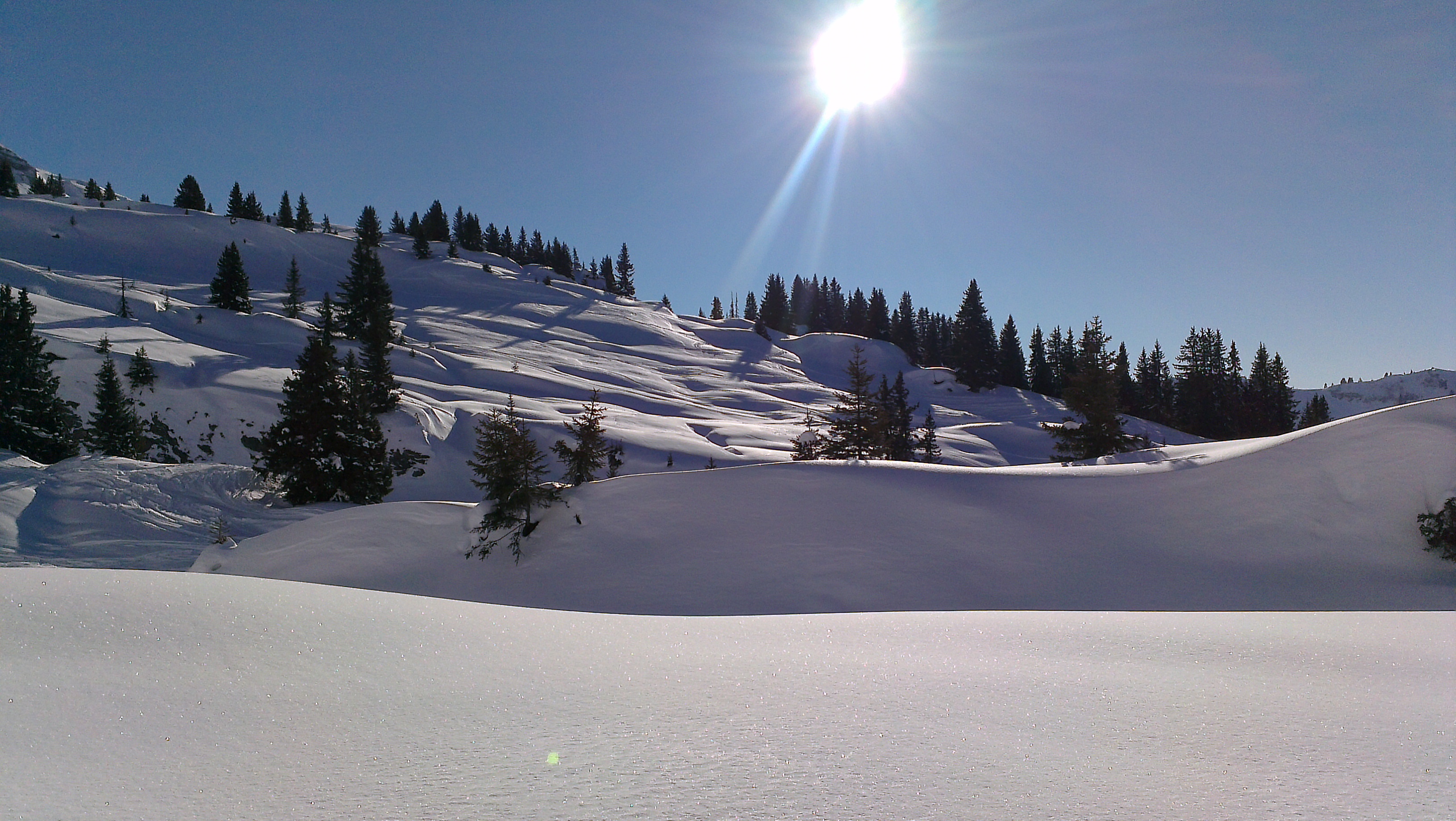 Chatel Jan 2013