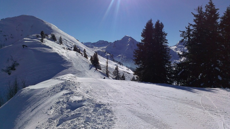 Chatel Jan 2013
