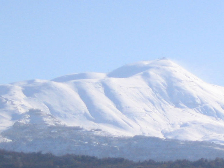 Mount Sannine, Lebanon., Cedars