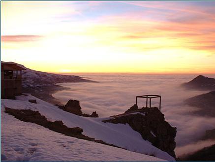 The cedars,lebanon