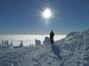 snowshoeing on Mt.Seymour, Mt Seymour photo