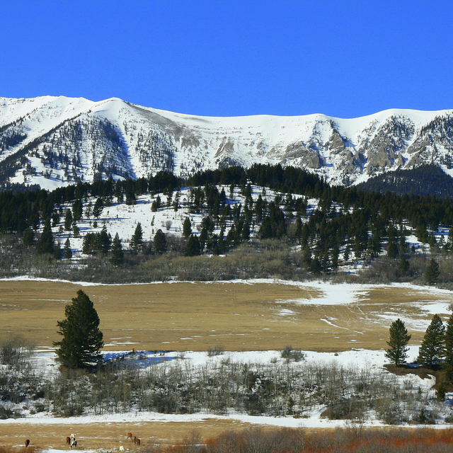 Bridger Bowl, Montana