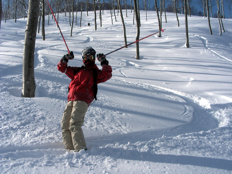 tree run, Madarao Kogen