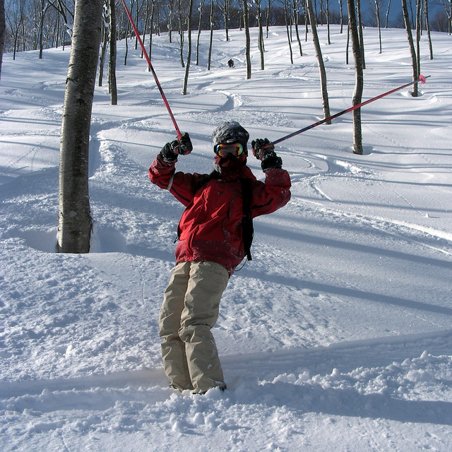 tree run, Madarao Kogen