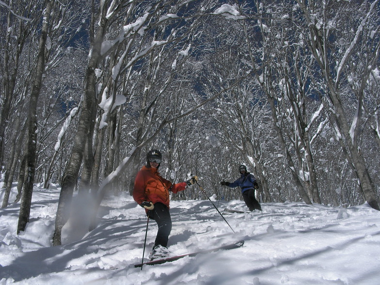tree & steap slope, Madarao Kogen