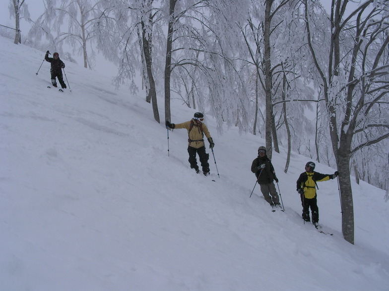 telemarkski in tree, Madarao Kogen