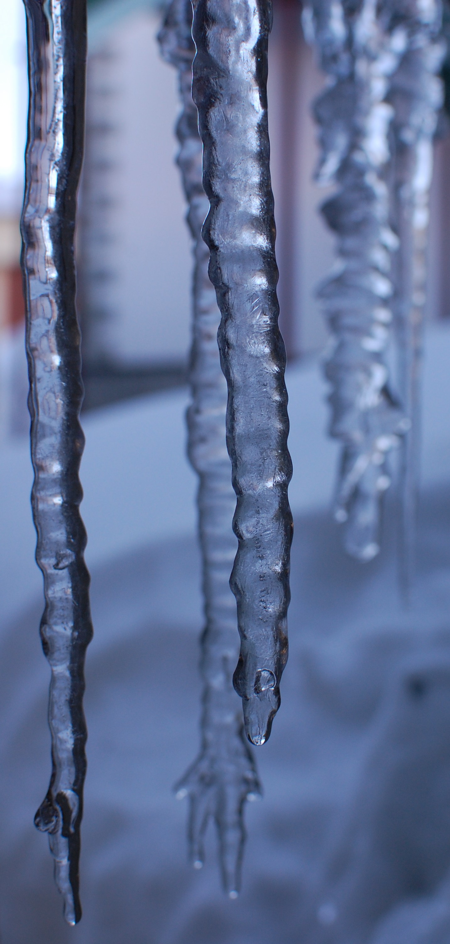 icicles, Auli
