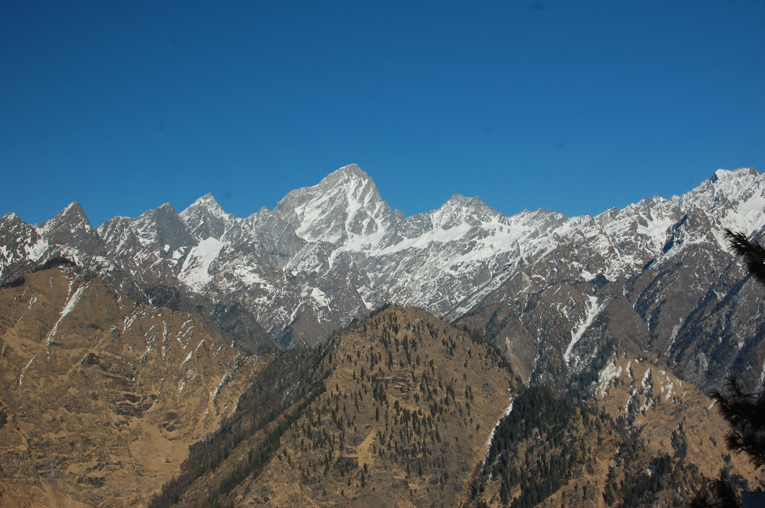Auli
