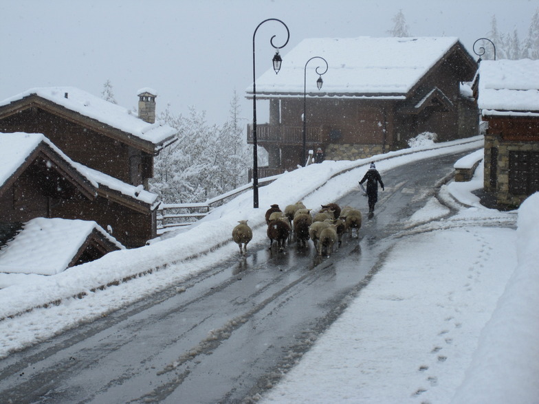 Demontagner, Sainte Foy