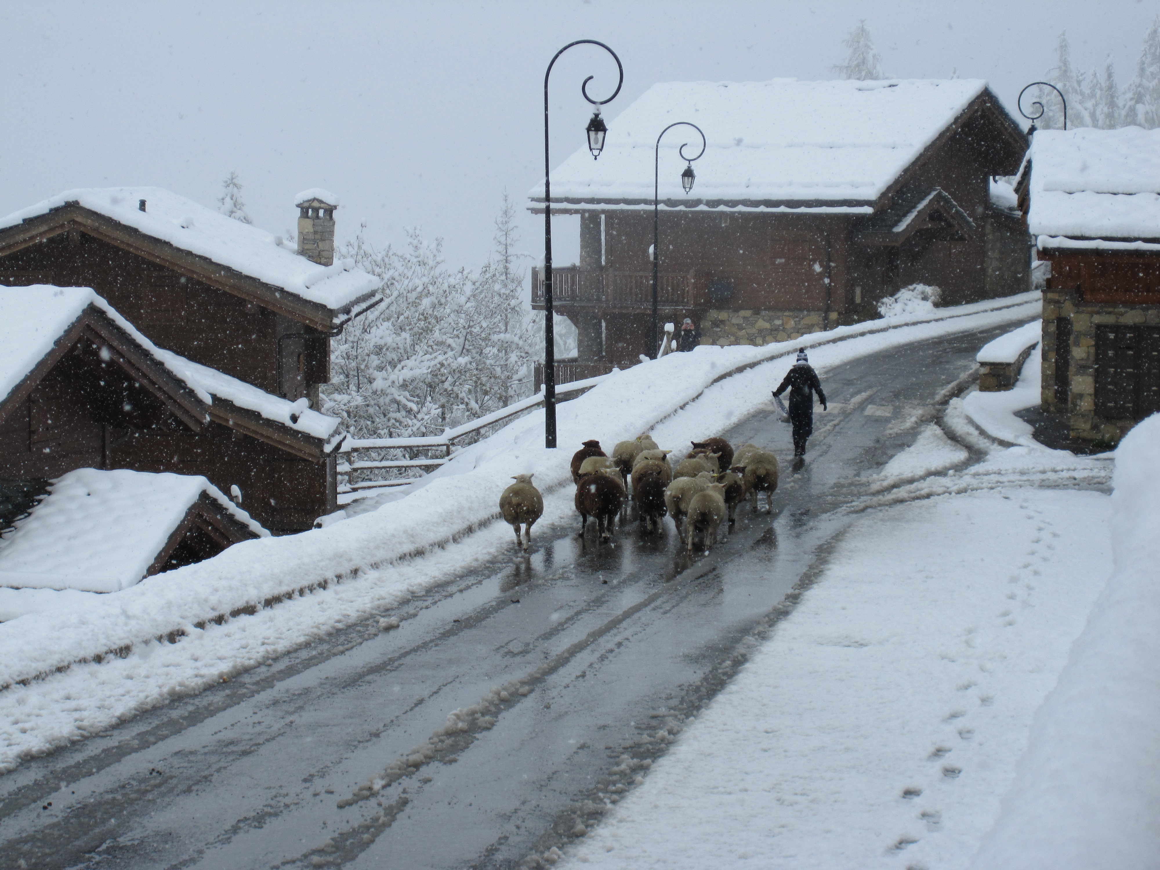 Demontagner, Sainte Foy