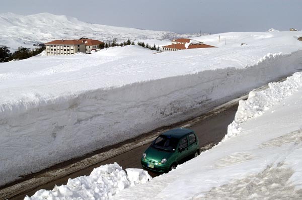 Cedars area,lebanon