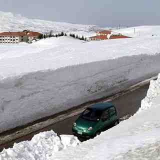 Cedars area,lebanon