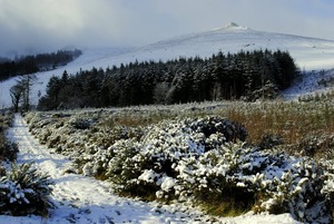 Knocksheegowna,Knockanaffrin ridge., Knockanaffrin (Comeragh Mts) photo
