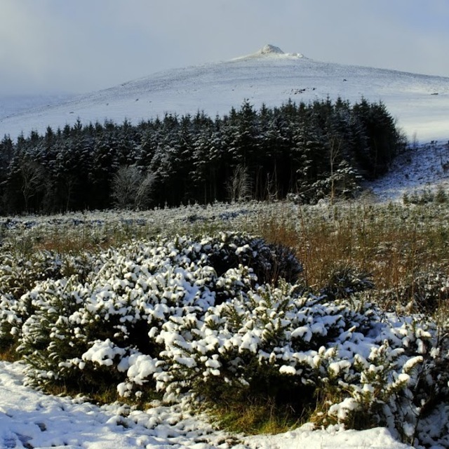 Knocksheegowna,Knockanaffrin ridge., Knockanaffrin (Comeragh Mts)