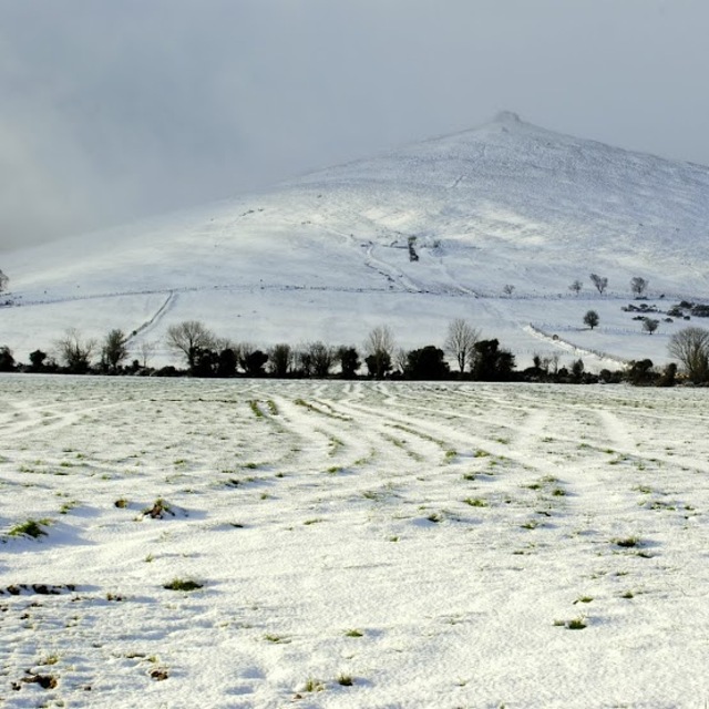 Knocksheegowna slope,Knockanaffrin ridge., Knockanaffrin (Comeragh Mts)