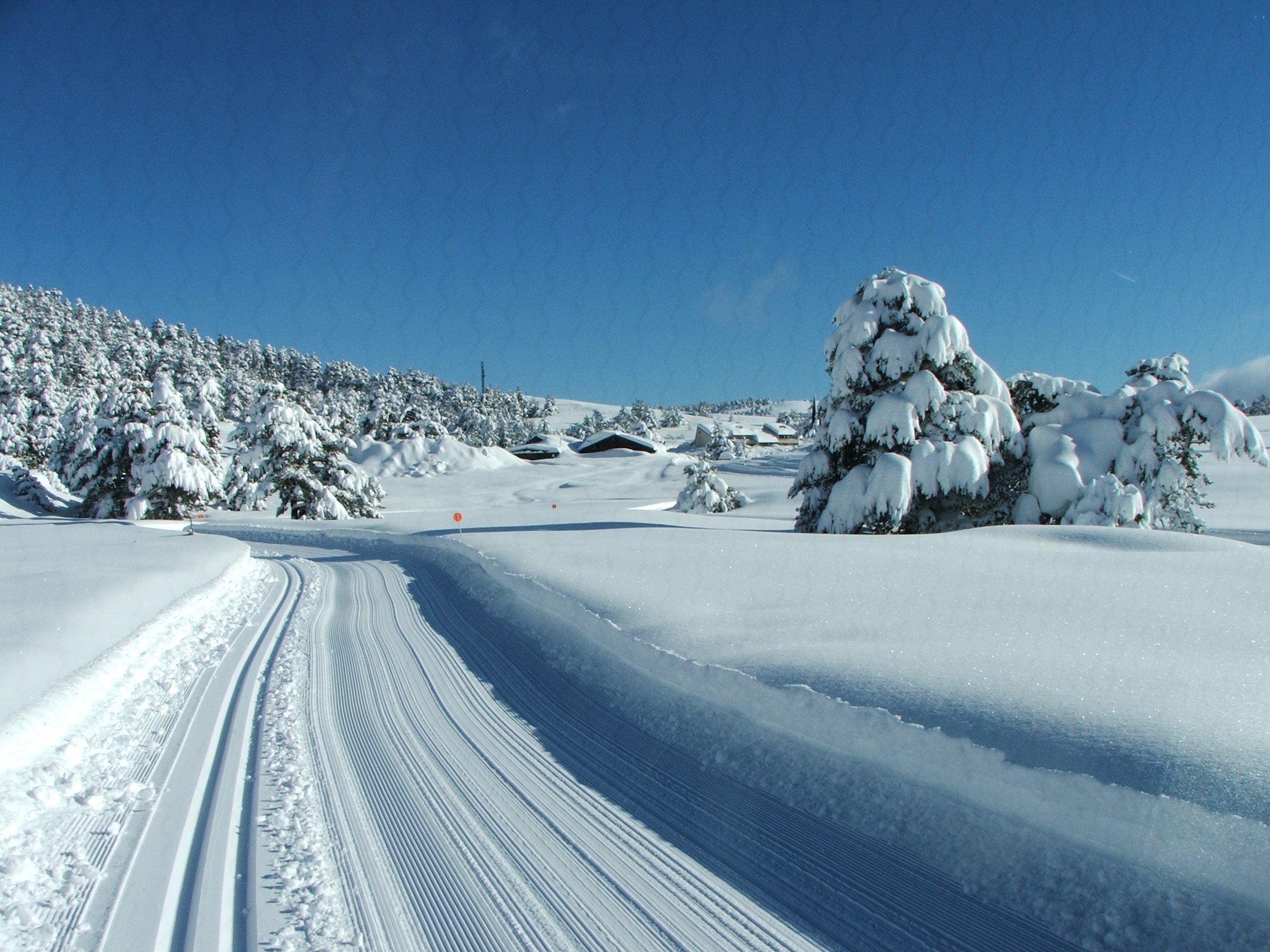 Winter 08/09, Gréolières Les Neiges