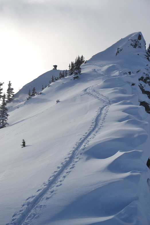 Reach for the Skies...., Kicking Horse