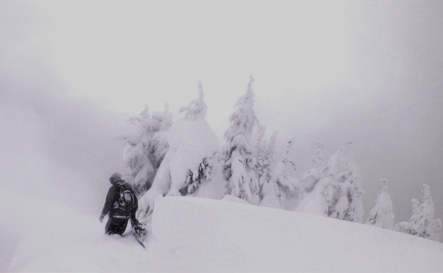 mystic cochino, Stevens Pass