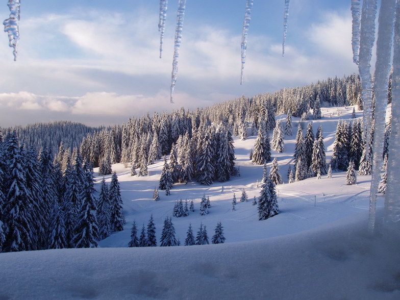 Pamporovo snow