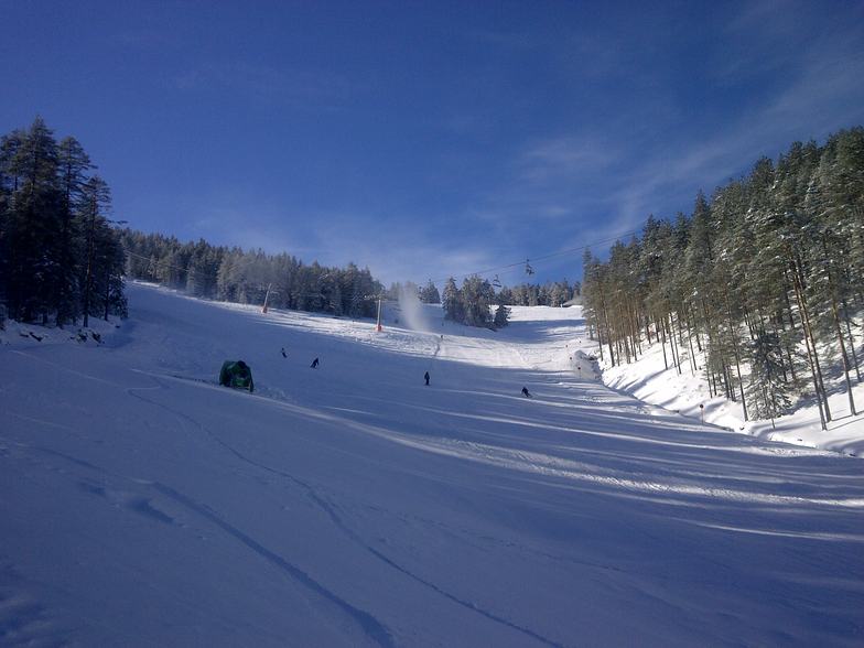Zmajevac - Tornik, Zlatibor