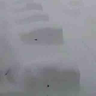 Big Snow, Nassfeld